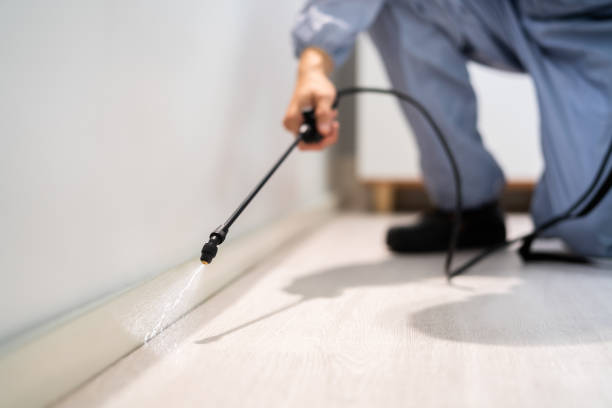 Licensed Pest Control service in Antioch, IL - Show Me Pest Control