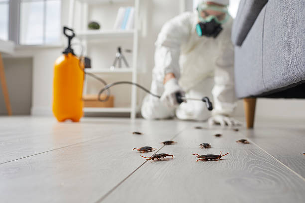 Commercial Kitchen Cockroach Control in Antioch